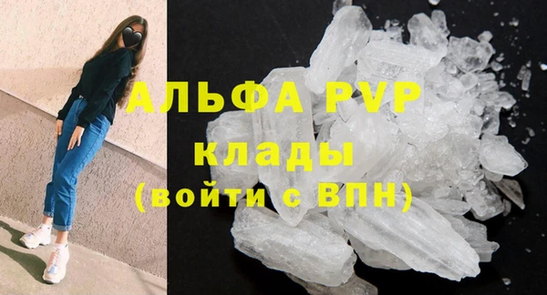 стафф Карпинск
