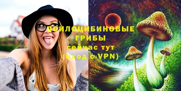 герыч Кинешма