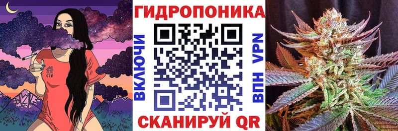 купить наркотики сайты  Невельск  Конопля планчик 